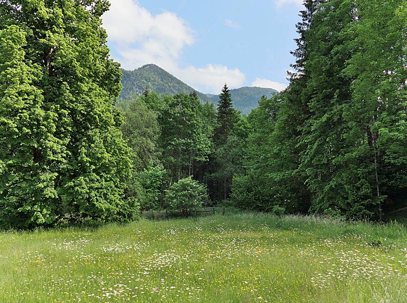 Der Garten der Kraftquelle Josefstal Der Garten der Kraftquelle Josefstal